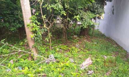 Terreno  à Venda em Chácara Monte Alegre  -  São Paulo