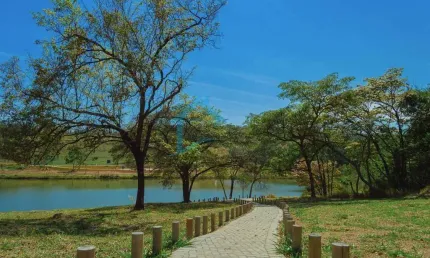 Terreno à venda na Avenida Dulce Geralda Diniz, Quintas Coloniais, Contagem