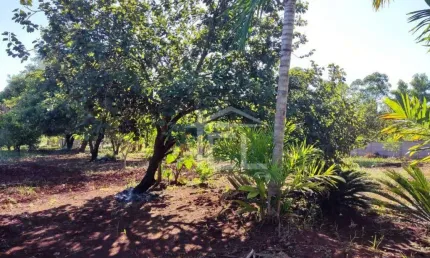 Chácara à venda, 20012 m² por R$ 1.200.000,00 - Fazenda Nata - Londrina/PR
