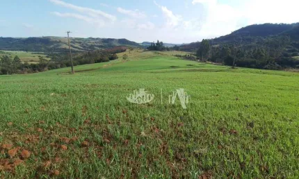 Sítio à venda, 212960 m² por R$ 2.000.000,00 - Zona Rural - Tamarana/PR