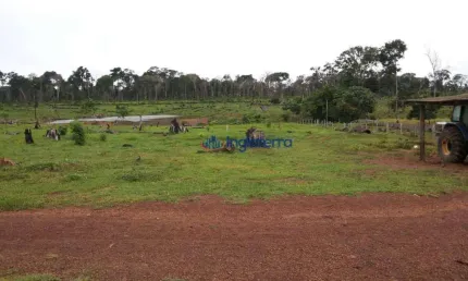 Fazenda à venda, 14520000 m² por R$ 18.200.000,00 - São Francisco - Óbidos/PA