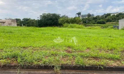 Terreno à venda, 250 m² por R$ 140.000,00 - Pacaembu - Londrina/PR