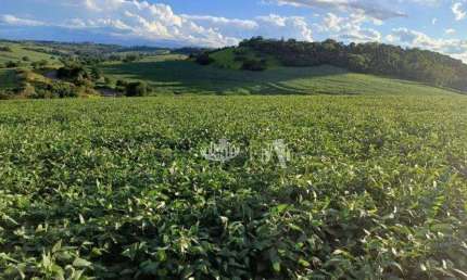 Sítio à venda por R$ 3.700.000 - Rural - Londrina/PR