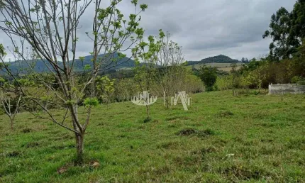 Chácara com 3 quartos  à venda, 62007 m² por R$ 550.000 - Zona Rural - Tamarana/PR