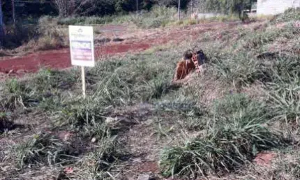 Terreno à venda, 250 m² por R$ 135.000,00 - Jardim Marissol - Londrina/PR