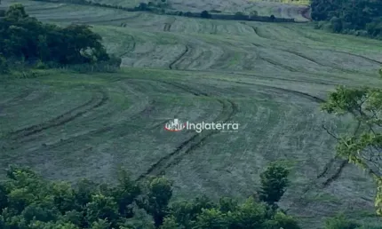 Sítio à venda, 653400 m² por R$ 4.900.000,00 - Zona Rural - Assaí/PR