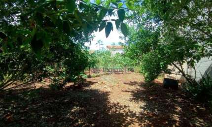 Terreno à venda, 250 m² por R$ 130.000,00 - Jardim Maria Celina - Londrina/PR