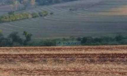 Sítio à venda, 96800 m² por R$ 5.700.000,00 - Rural - Londrina/PR
