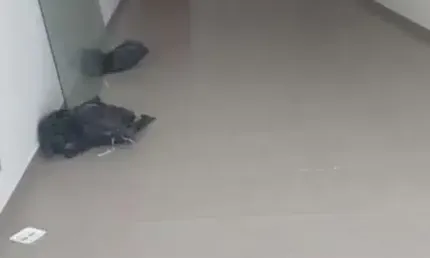 Ponto comercial à venda na Praia de Itaparica, Vila Velha 
