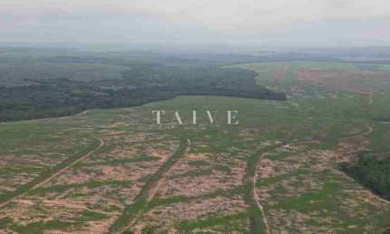 Fazenda 3000 hectares à venda , área plana, casa sede, barracão, poço artesiano, internet e 63 km d