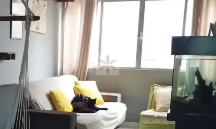 Apartamento com 2 quartos à venda no Centro, São Bernardo do Campo 