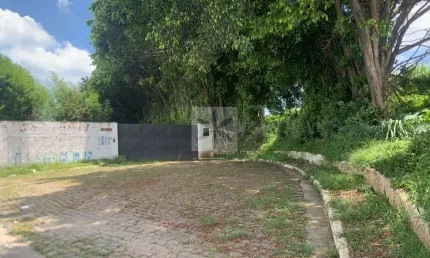 Terreno comercial para alugar no Ferrazópolis, São Bernardo do Campo 