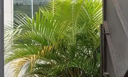 Casa com 3 quartos à venda em Laranjeiras, Uberlândia  por R$ 500.000