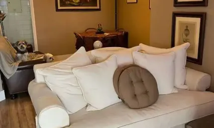 Apartamento com 3 quartos à venda na Avenida dos Eucaliptos, 65, Moema, São Paulo por R$ 1.247.000