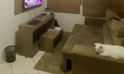 Apartamento com 2 quartos à venda na Rua Carlos Gomes, 68, Tucuruvi, São Paulo por R$ 320.000