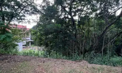 Terreno à venda, 800 m² por r$ 320.000,00 - condomínio reserva ibirapitanga - santa isabel/sp