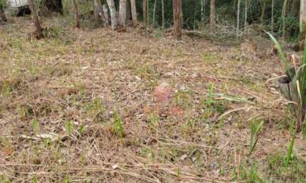 Terreno à venda, 800 m² por R$ 550.000,00 - Condomínio Reserva Ibirapitanga - Santa Isabel/SP
