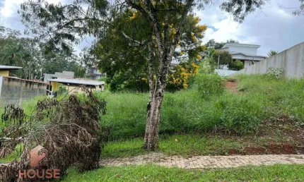 Terreno à venda, 800 m² por R$ 400.000,00 - Condomínio Reserva Ibirapitanga - Santa Isabel/SP