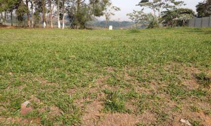Terreno à venda, 2800 m² por R$ 2.800.000,00 - Vila Guilherme - Santa Isabel/SP