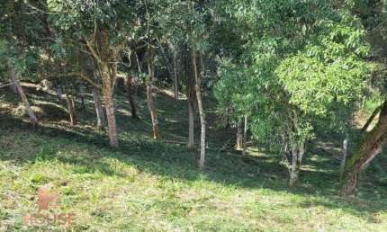 Terreno à venda, 1562 m² por R$ 550.000,00 - Condomínio Reserva Ibirapitanga - Santa Isabel/SP