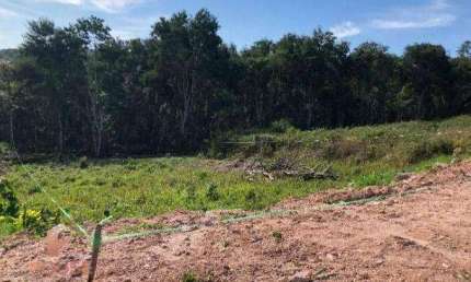 Terreno à venda, 1036 m² por R$ 450.000,00 - Condomínio Reserva Ibirapitanga - Santa Isabel/SP