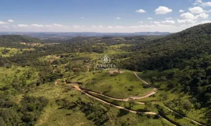 Chácara / sítio à venda na Floresta, Belo Horizonte 