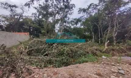Um terreno localizado no loteamento balneário Havaí em Caraguatatuba perímetro massaguaçu a venda