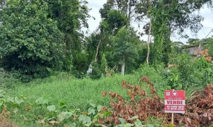 Terreno à venda na Loteamento Balneário Corina, 28598, Centro, Balneário Barra do Sul