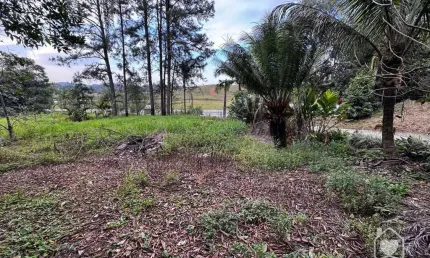 Chácara / sítio com 2 quartos à venda na Rodovia SC-108, 79076, Vila Nova, Joinville