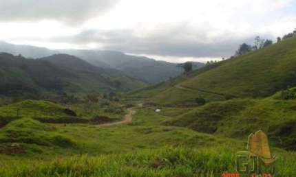 Terreno à venda na Sc 407, Santa Filomena, São Pedro de Alcântara por R$ 650.000