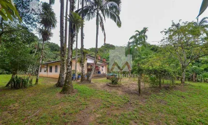 Área à venda, 36000 m² por r$ 530.000 - morretes/pr