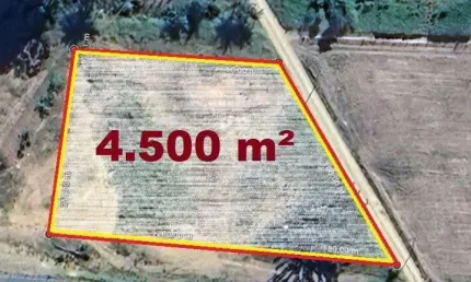 Terreno comercial para alugar no Centro, Ilhota 