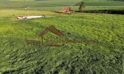 Chácara / sítio à venda na Área Rural de Avaré, Avaré 