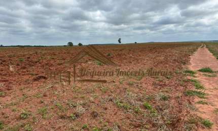 Fazenda à venda na Área Rural, Área Rural de Avaré, Avaré