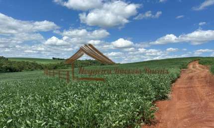 Fazenda à venda no Zona Rural, Guapirama 