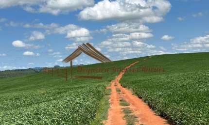 Fazenda à venda no Zona Rural, Guapirama 