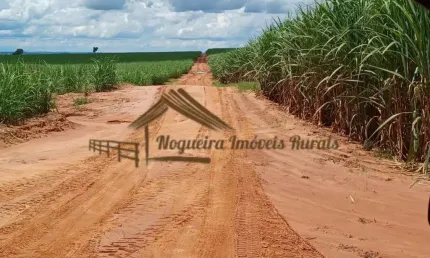 Fazenda à venda na Zona Rural, Mirandópolis 