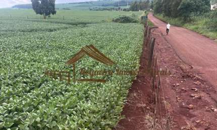 Chácara / sítio à venda na Área Rural, Área Rural de Avaré, Avaré