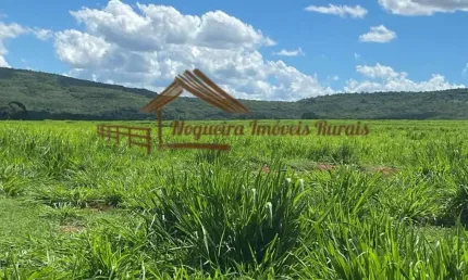 Fazenda à venda na Zona Rural, Quirinópolis 