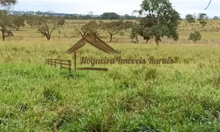 Fazenda à venda na Zona Rural, Cassilândia 
