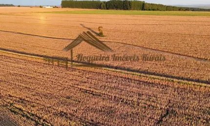 Sítio para Venda em Santa Cruz do Rio Pardo, Chácara Camargo