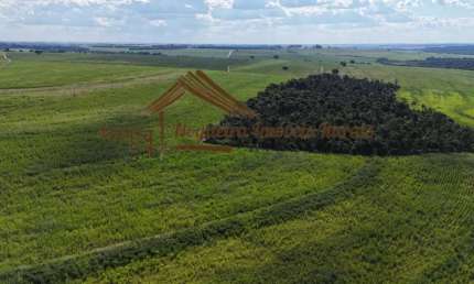 Fazenda à venda na Área Rural, Área Rural de Avaré, Avaré