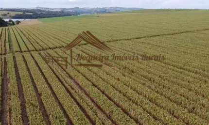Fazenda à venda na Área Rural, Área Rural de Avaré, Avaré