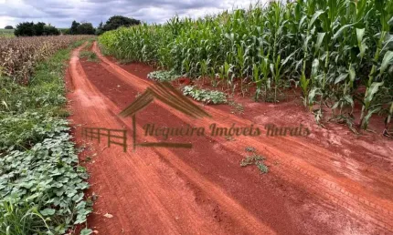Chácara / sítio à venda na Zona Rural, Cesário Lange 