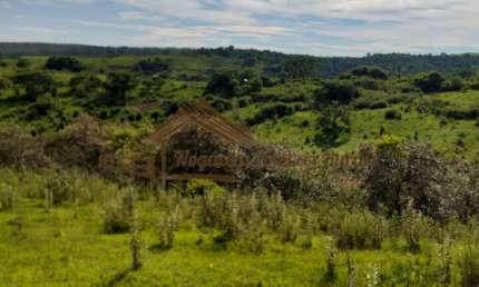 Fazenda à venda na Zona Rural, Garça 
