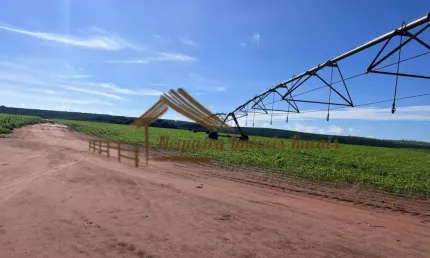 Fazenda à venda na Área Rural, Área Rural de Avaré, Avaré