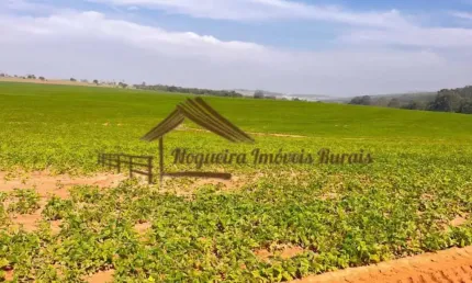 Fazenda à venda na Área Rural, Área Rural de Avaré, Avaré