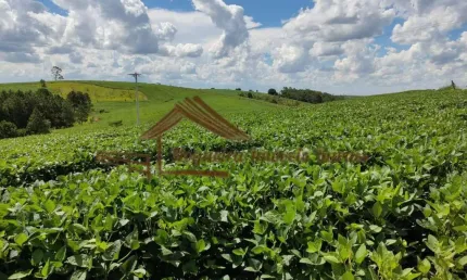 Chácara / sítio à venda na Zona Rural, São Miguel Arcanjo 