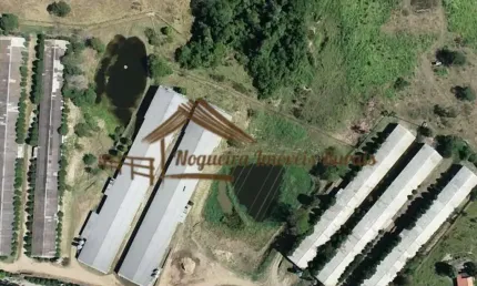 Chácara / sítio à venda na Zona Rural, Cesário Lange 