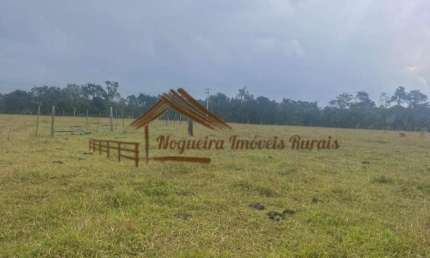 Sítio para Venda em Botucatu, Área Rural de Botucatu
